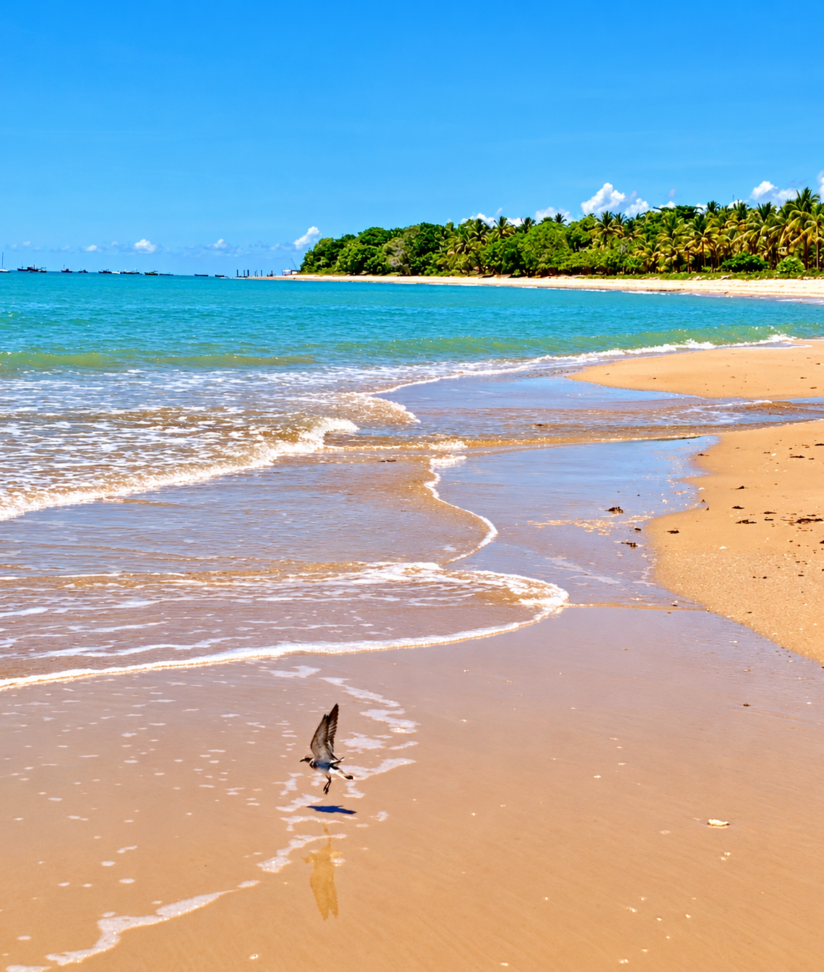 Praia do Rio do Peixe Grande — foto 1